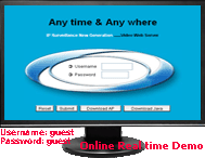 online demo