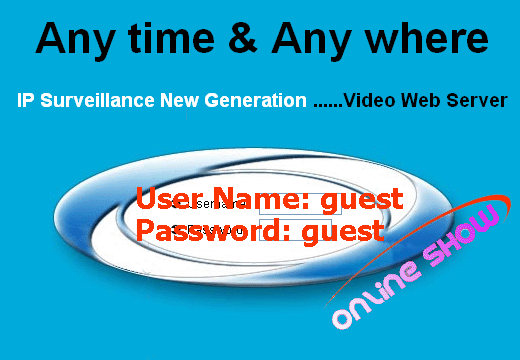 Online Demo